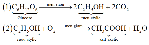 Viết các phương trình hóa học thực hiện sơ đồ chuyển đổi hóa học sau: (ảnh 2)