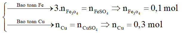 Xác định công thức phân tử của FexOy. (ảnh 5)