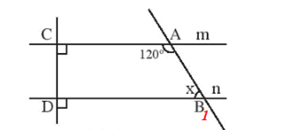 b) Tính số đo x của góc ABD. (ảnh 1)