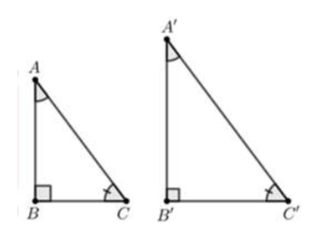 Trong các phương án sau, phương án nào chứa hình có hai tam giác vuông  (ảnh 4)