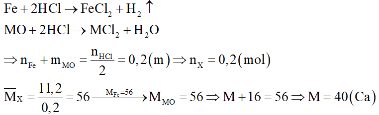 Hòa tan hoàn toàn 11,2 gam hỗn hợp X gồm Fe và MO (M là kim loại có hóa trị không đổi) bằng 200ml dung dịch HCl 2M (vừa đủ). Kim loại M là: (ảnh 2)