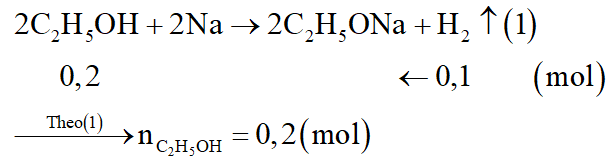 Hãy viết phương trình hóa học của các phản ứng xảy ra. (ảnh 2)