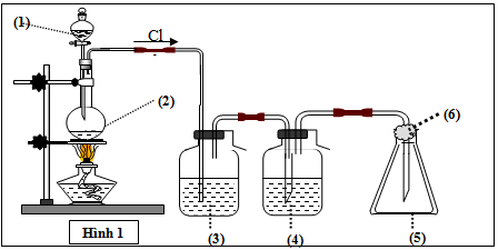 Mô hình điều chế khí clo trong phòng thí nghiệm được cho như hình vẽ bên (Hình 1). Quy trình thí nghiệm xảy ra như sau: Nhỏ từ từ dung dịch (1) xuống bình cầu có chứa chất rắn màu đen (2). Đun nóng hỗn hợp thì thoát ra khí  (ảnh 1)