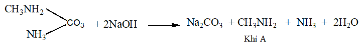 Hợp chất hữu cơ X chứa C, H, O, N, có công thức phân tử trùng với công thức đơn giản nhất. Đốt cháy hoàn toàn 10,8 gam X bằng oxi dư thu được 4,48 lít khí CO2, 7,2 gam H2O và 2,24 lít khí N2 (biết các khí đo ở đktc). Nếu cho 0,1 mol chất X trên tác dụng với dung dịch chứa 0,2 mol NaOH đun nóng thu được khí A (A là chất hữu cơ đơn chức làm xanh giấy quỳ tím ẩm) và dung dịch Y. Cô cạn dung dịch Y thu được m gam chất rắn khan. Tính giá trị của m.  (ảnh 2)