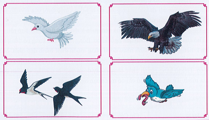 Em hãy nói tên các loài chim dưới đây và những hoạt động,  đặc điểm em thích của từng loài chim đó. (ảnh 1)