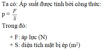 Công thức nào sau đây là công thức tính áp suất p= F/S  p= FS  p= P /  S  p=  dV (ảnh 1)