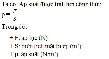 Công thức tính áp suất là  p=  F/  S  p= S/ F  p= P/  S  p= S/ P (ảnh 1)