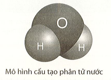 Phân tử nước được cấu tạo từ những nguyên tử nào? Trong phân tử nước, các nguyên  (ảnh 1)
