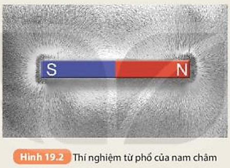 Các mạt sắt xung quanh nam châm được sắp xếp thành những đường như thế nào? (ảnh 1)