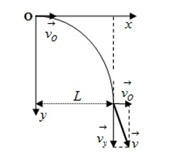 Từ độ cao h = 80 m, người ta ném một quả cầu theo phương nằm ngang với v0 = 20 m/s. (ảnh 1)