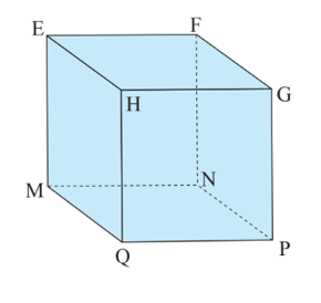 Quan sát hình lập phương EFGH.MNPQ, biết MN = 3 cm, độ dài các cạnh EF, NF bằng bao nhiêu? (ảnh 1)