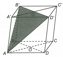 Cho hình hộp ABCD.A'B'C'D' (các đỉnh lấy theo thứ tự đó), AC cắt BD tại O còn A'C' cắt B'D' tại O'. Khi đó (AB'D') sẽ song song với mặt phẳng nào dưới đây? (ảnh 1)
