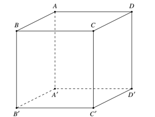 Cho hình lập phương ABCDA'B'C'D' . Hãy xác định góc giữa cặp vectơ  AB, DD'? (ảnh 1)