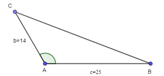Giải tam giác ABC biết ABC có b = 14, c = 25 và A = 120°. (ảnh 1)
