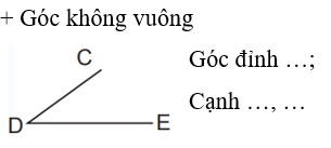 Viết vào chỗ chấm. + Góc vuông Góc đỉnh O; Cạnh OA, OB (ảnh 1)