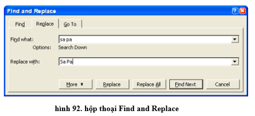 Điền vào chỗ trống để hoàn thành các bước thay thế tất cả các từ “sa pa” thành “Sa Pa (ảnh 2)