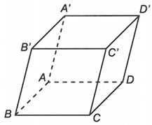 Cho hình hộp ABCD.A'B'C'D'. Sử dụng các đỉnh của hình hộp làm điểm đầu và điểm cuối của (ảnh 1)