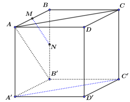 Cho hình lập phương  ABCDA'B'C'D'.  M,N lần lượt là trung điểm của BC và A'D'. Góc giữa hai vectơ  MN và B'C  bằng.   (ảnh 1)