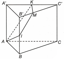 Cho lăng trụ tam giác ABC.A'B'C'. Gọi I, K lần lượt là trung điểm của BB', A'C'. Điểm M thuộc cạnh (ảnh 1)