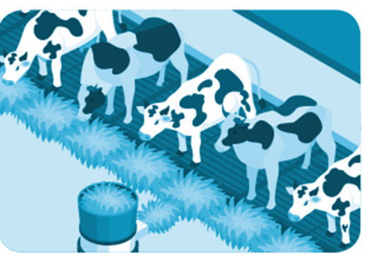 Một gia đình nuôi bò sữa, tháng thứ nhất bán được 17 250 l sữa, tháng thứ hai  (ảnh 1)