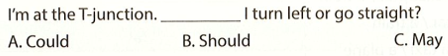 I'm at the T-junction. I turn left or go traight? A. Could B. Should C. May (ảnh 1)