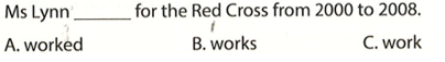 Ms Lynn for the Red Cross from 2000 to 2008. A. worked B. works C. work  (ảnh 1)