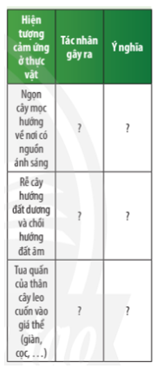 Quan sát Hình 32.3 và hoàn thành bảng theo mẫu sau: (ảnh 1)