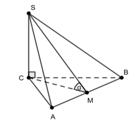 Cho hình chóp  SABC có đáy là tam giác đều ABC cạnh A  và SC vuông góc (ABC) . (ảnh 1)