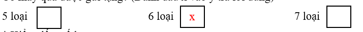 Có mấy quà được gửi tặng? (Đánh dấu x vào ý trả lời đúng) (ảnh 3)