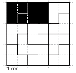 Tô màu hình chữ nhật có diện tích là 8 cm2. (ảnh 2)