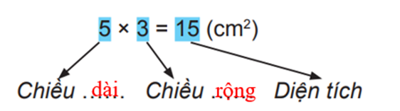 Tính diện tích hình chữ nhật có chiều dài 5 cm, chiều rộng 3 cm (ảnh 4)