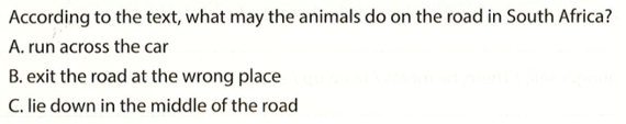 According to the text, what may the animals do on the road in South Africa  (ảnh 1)