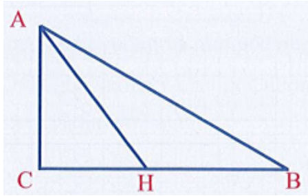 Tam giác ABC có đường cao là: (ảnh 1)