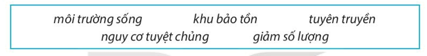 Hãy sử dụng những cụm từ sau để hoàn thành đoạn thông tin dưới đây. (ảnh 1)