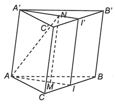Cho hình lăng trụ ABC.A'B'C', gọi M, N theo thứ tự là trọng tâm của các tam giác ABC và A'B'C'. Thiết diện tạo bởi mặt phẳng (AMN) với hình lăng trụ đã cho là (ảnh 1)