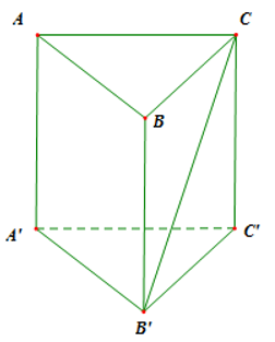 Cho lăng trụ tam giác  ABCA'B'C' có vetơ AA' = vectơ a , vectơAB= vectơ b (ảnh 1)
