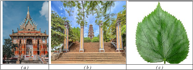 Các hình ảnh tại một số địa danh du lịch tại một số ngôi chùa của Việt Nam sau đây có trục đối xứng không?  (ảnh 1)