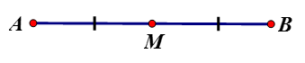 Vẽ đoạn thẳng AB = 8cm vẽ điểm M thuộc AB sao cho  AM = MB. (ảnh 1)