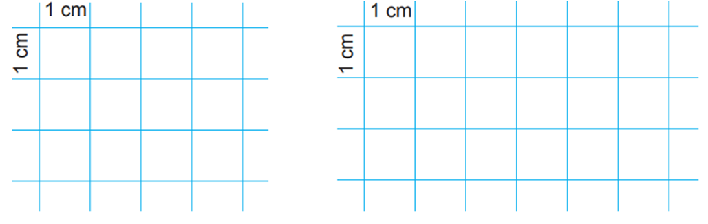 Vẽ rồi tô màu các hình chữ nhật theo mẫu trong SGK (ảnh 1)
