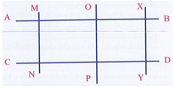 a) Các đường thẳng song song với nhau là: (ảnh 1)