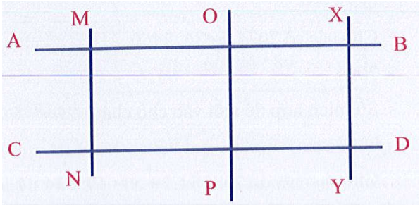 a) Các đường thẳng song song với nhau là: (ảnh 2)