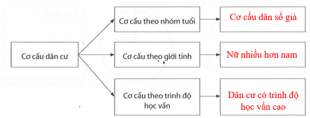 Hoàn thành sơ đồ về đặc điểm cơ cấu dân cư châu Âu. (ảnh 2)