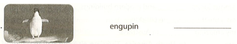 Rearrange the letters to make correct words engupin  (ảnh 1)