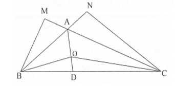 Cho tam giác ABC có góc B + góc C = 60 độ , tia phân giác của góc BAC cắt BC tại D. Trên AD lấy điểm O, trên tia đối của tia AC (ảnh 1)