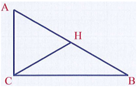 Tam giác ABC có đường cao là: (ảnh 1)