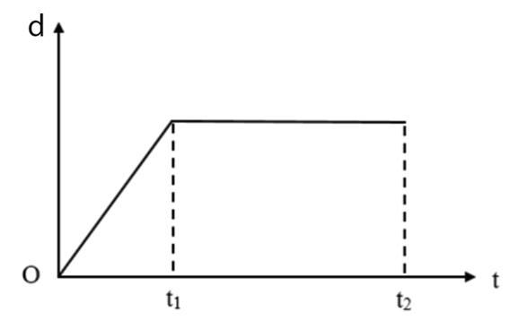 Đường biểu diễn độ dịch chuyển – thời gian của chuyển động thẳng của (ảnh 1)