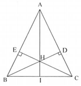 Cho tam giác ABC. Từ B kẻ BD vuông góc AC  ; CE vuông góc AB . Gọi H là giao điểm của BD và CE. Biết rằng HD=DE . (ảnh 1)