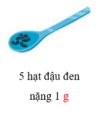 Viết kg hay g vào chỗ chấm 5 hạt đậu đen  nặng 1  (ảnh 2)