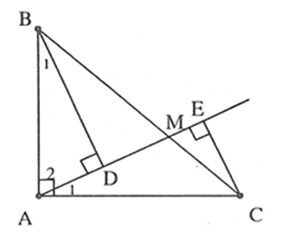 Cho  tam giác ABC vuông tại A có AB= AC . Lấy M thuộc BC( BM> MC) . Kẻ BD và CE vuông góc với đường thẳng AM.  (ảnh 1)