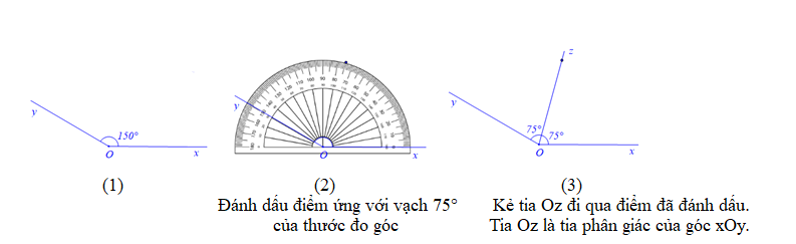 Vẽ tia phân giác Oz của xOy=150 độ (ảnh 1)